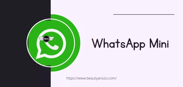 whatsapp mini